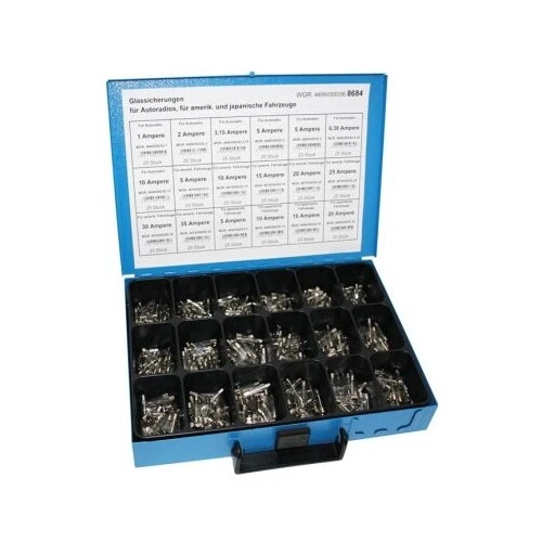 Assortiment de fusibles en verre 4499/000/06 8684 1 pièce