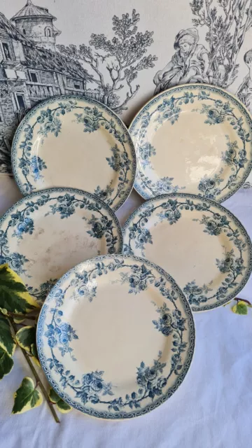 5 Anciennes Assiettes Plates Terre De Fer Decor Roses