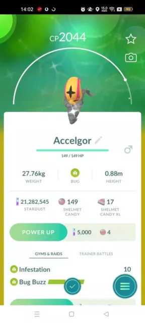 Shiny Accelgor ( Shelmet Evolution ) Pokemon Trade Go