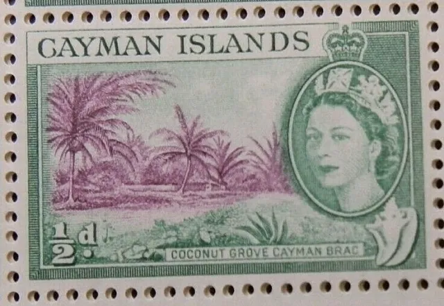 CAYMAN ISLANDS 1954-62 SG149 QEII ½d. COCONUT GROVE, CAYMAN BRAC  -  MNH