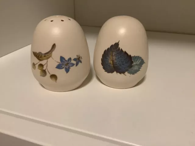 Axe Vale Pottery Devon Salt and Pepper shakers. Blue leaf and Flower. No bungs