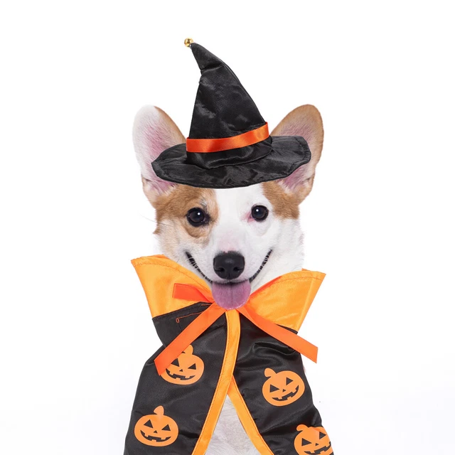lounge sets 1 Satz von Haustier-Kostüm-Hut-Mantel-Set-Katzenhund-Cosplay-Stüt 10