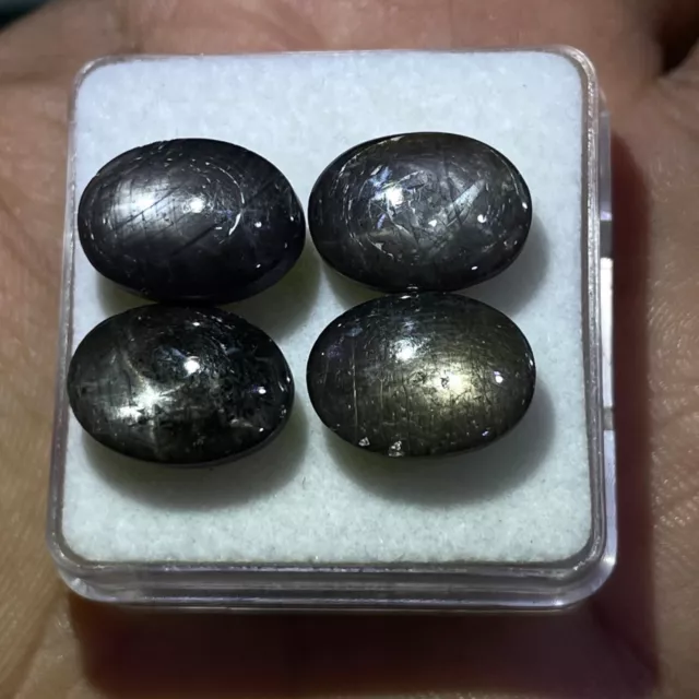 4 Pcs Unheated Natural Star Sapphire 14x10mm Oval Cabochon Gemstones 44.20 Cts