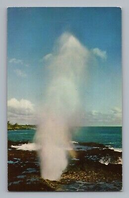 Spouting Horn Hawaii Vintage Postcard