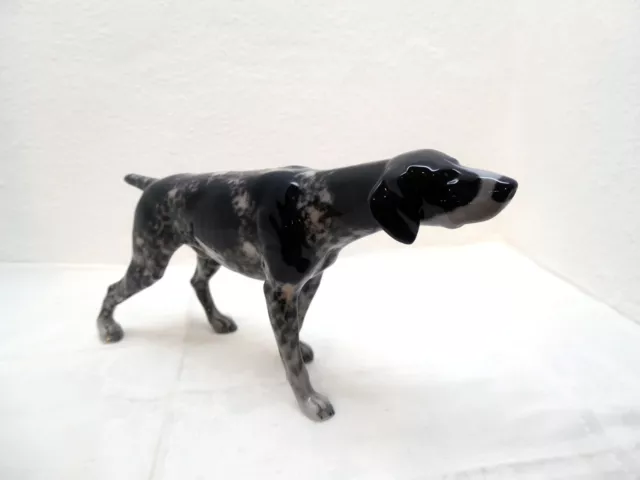 Porzellan Figur Rosenthal Jagdhund Pointer Kurzhaar Hund