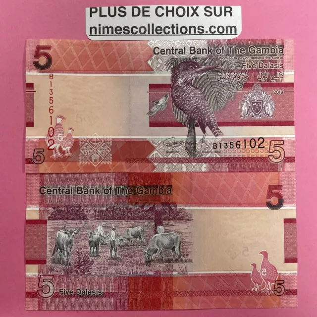 Billet de banque banknote 5 DALASIS GAMBIE 2019 P.NEW NEUF UNC