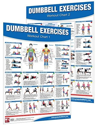 DUMBBELL WORKOUT POSTER/CHART SET: SHOULDER TRAINING - By Mike Jespersen **NEW**