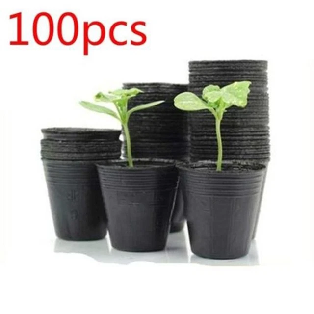 Pot de semis Fleur Fournitures Plastique Épaissir Respirant Nutritionnelle