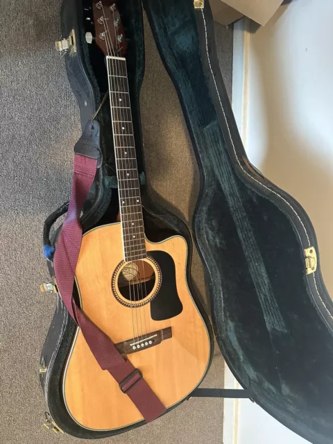 washburn acoustic electric guitar