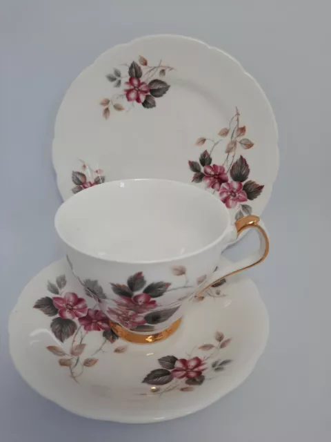 Royal Windsor Fine Bone China Cup Saucer And Small Plate. 0151