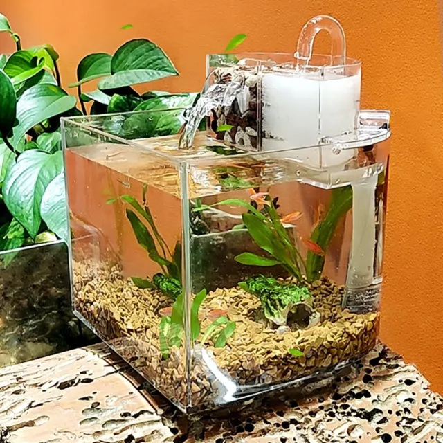 Desktop Mini Aquarium Fish Tank With Water Filter & Cover Silent Air 2.5W Pump