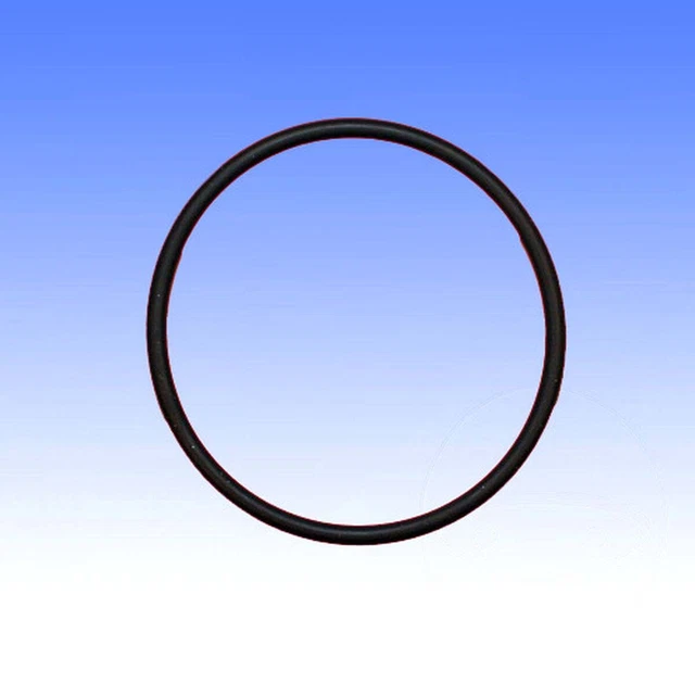 Joint D'étanchéité Casio O-Ring Noir Pour Modèle CMD-40 - Référence 74210339, Neuf Avec étiquettes