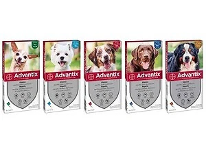 Bayer ANTIPARASSITARIO ADVANTIX per cani  4?10 kg.