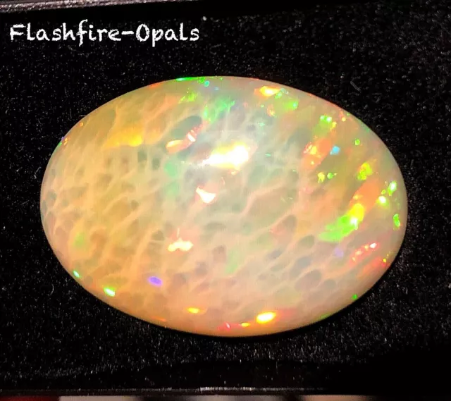 37ct. Gewaltig ! Gemme Welo Opale Brillante Rot-Gold-Grün Video Flashfire-Opals