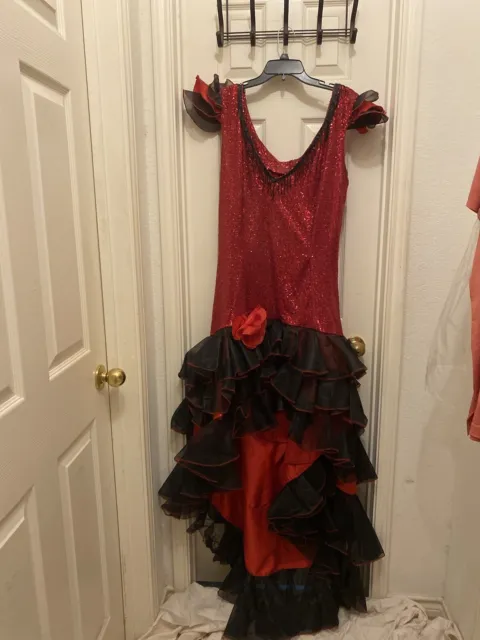 Vintage Can Can/ Burlesque Dancer Costume