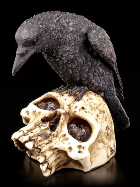 Corbeau Figurine Sur Crâne - Corbeau Tête de Mort Déco Statue Gothique