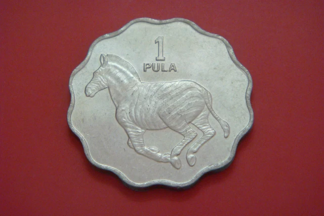 Botswana - 1 Pula 1976 Animal coin Zebra UNC