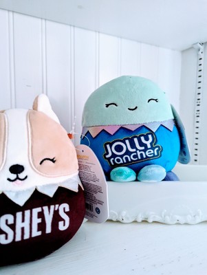 regina the dog squishmallow