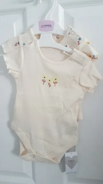 Baby Girls Cream 2 Pc Bodysuits Age 3-6 Months From Marks And Spencer Brand New