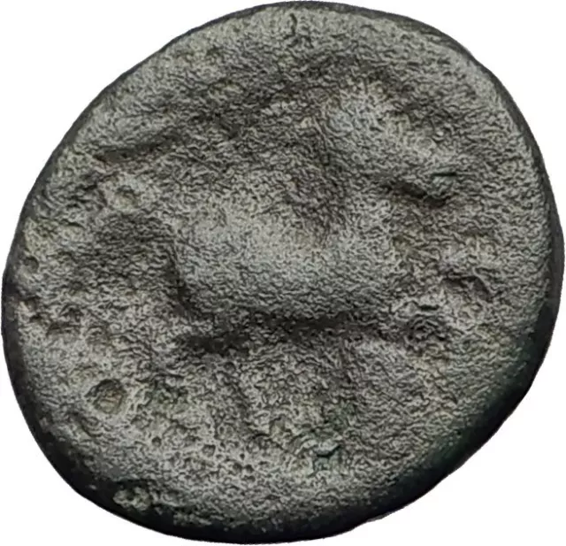 PELLA in MACEDONIA 148BC RARE R1 Authentic Ancient Greek Coin ZEUS & BULL i62606