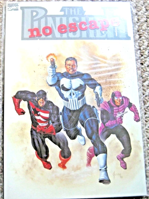 Punisher - Lot of 4 TPB! NM! NR! - Spiderman, Sabertooth, Paladin! 5