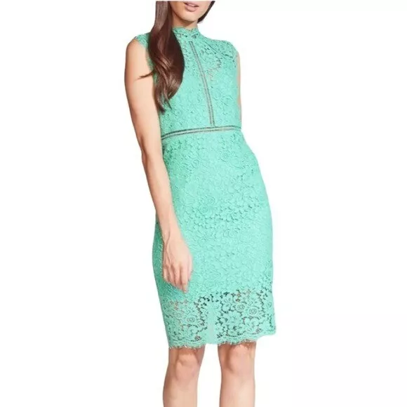 Bardot NWOT Lace Sheath Cocktail Dress Women's Size 8/M Sleeveless Knee Length