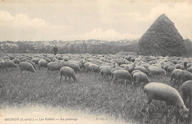 Cpa 91 Brunoy Les Vallees Au Paturage