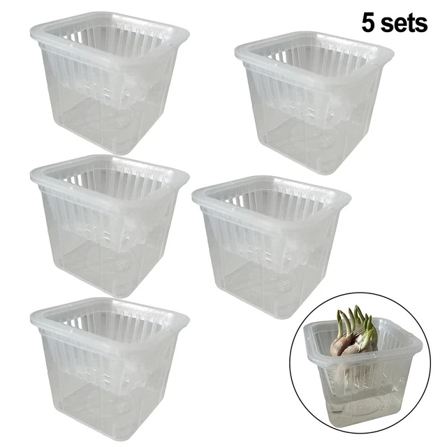 Set Di 10 Vasi Per Orchidee Trasparenti – Geli – Diametro 12 Cm, Capacità 0,7 Litri - 2