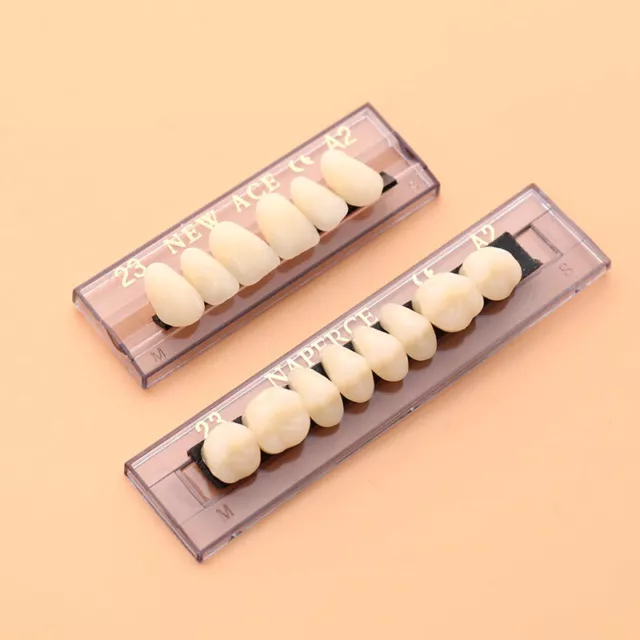 168PCS/6Sets Dental Synthetic Polymer Teeth Resin Denture Dental Teeth DentiJY 3