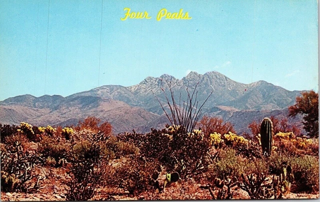 Four Peaks Snow Strawberry Cactus Bloom Bee Line Highway Payson Arizona Postcard