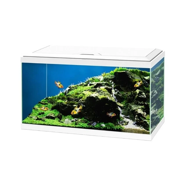 Ciano 60 White Aquarium/Fish Tank