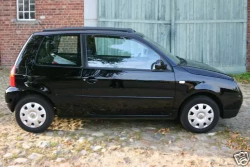 Lupo polo online
