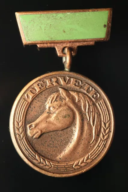 Original USSR Soviet Latvia Kolkhoz collective farm TERVETE Horse Medal #1096