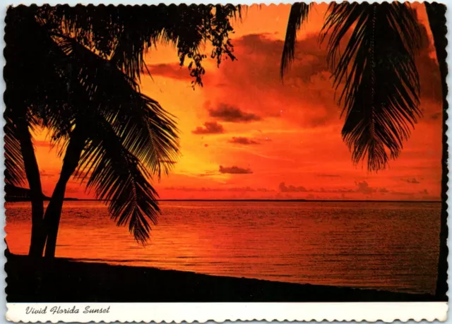 Postcard - Vivid Florida Sunset, Florida