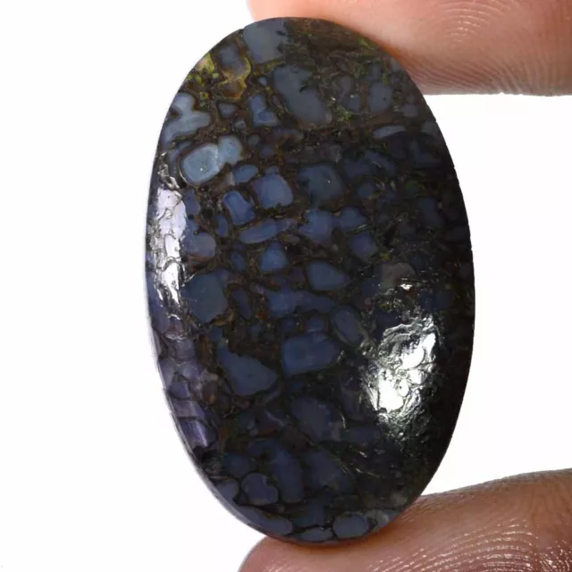 36.40 Cts 100% Natural Spiderweb Dinosaur Bone Cabochon 21 x 34 mm Gemstone SA51