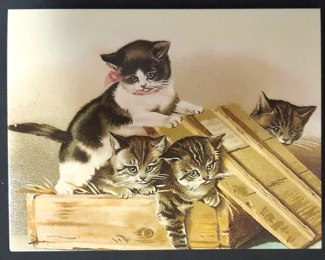 NEW Vntg Style Thank You Note w Env FOUR KITTENS AND A BOX Cats Playing Mfr USA