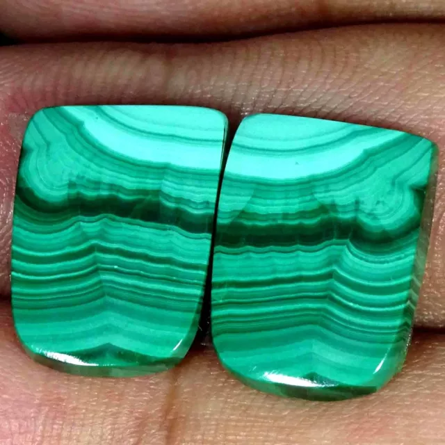 24.10 Cts Natural African Malachite Loose Gemstone Fancy Cabochon Pair 12X16X3MM