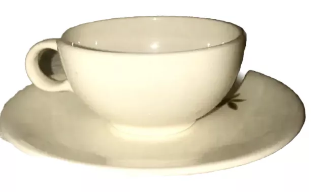 VINTAGE WOODLAND SALEM China, Mid-Century Bamboo coffee and saucer 2