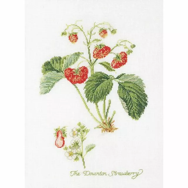 Cross-stitch kit Strawberries 2085A thea gouverneur Aida