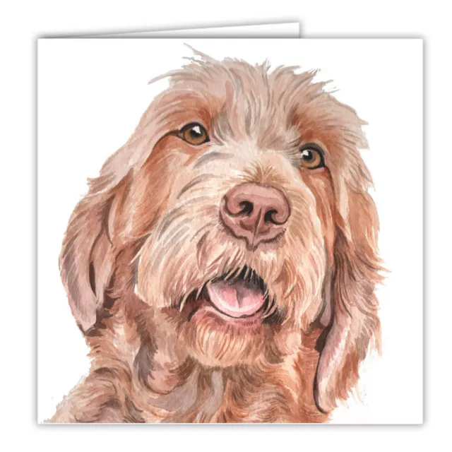 Wirehaired Hungarian Vizsla greetings card dog blank card Wirehaired Vizslas art