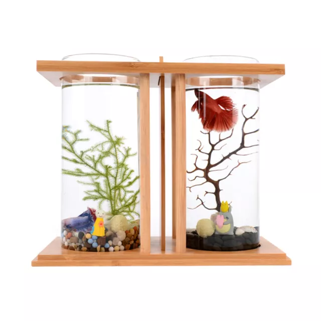 Desktop Ecological Dual Transparent Glass Bowl Fish Tank Small Aquarium Decora 6