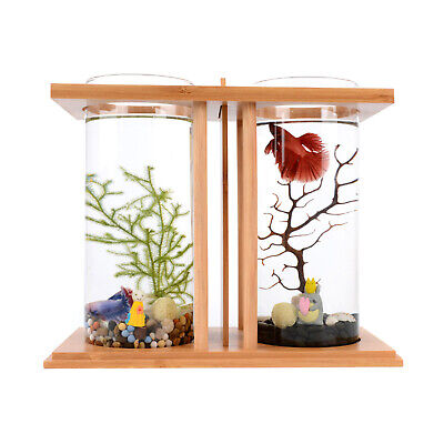 Mini Glass Fish Tank LED Goldfish Ecological Aquarium Creative Ecology Decor
