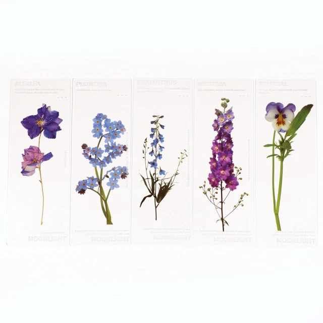 Purple Flowers Transparent Bookmarks Floral Pretty Plastic - Set of 5