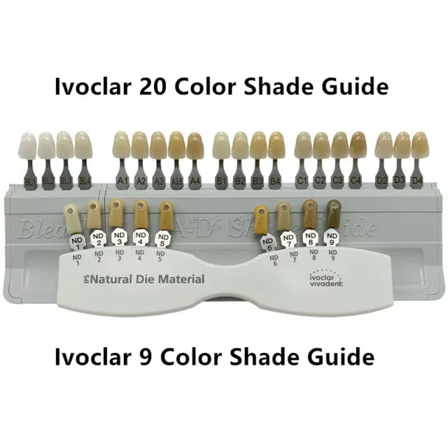 Dental IPS Natural Die Material Shade Guide Porcelain Veneer Ivoclar Vivadent
