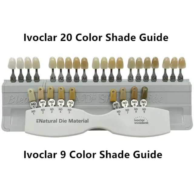 Ivoclar Vivadent Dental IPS Natural Die Material Shade Guide Porcelain Teeth