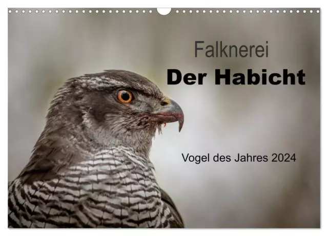 Tanja Brandt | Falknerei Der Habicht (Wandkalender 2024 DIN A3 quer),...