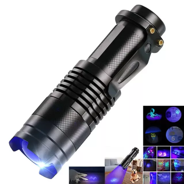 Mini lampe de poche LED UV portable, lumière noire ultraviolette
