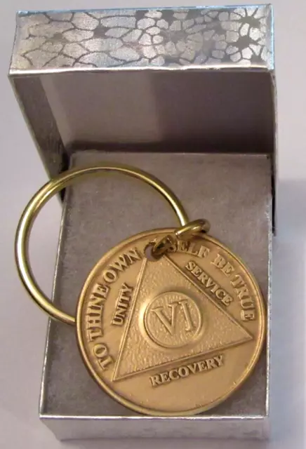 RecoveryChip Reflex or Elegant AA Medallion Keychain Sobriety Chip Holder 18K Gold Plated