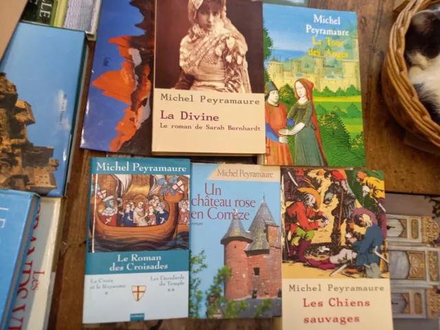 Lote De 5 Libros De Michel Peyramaure Las Perro El Novela Las Cruzado