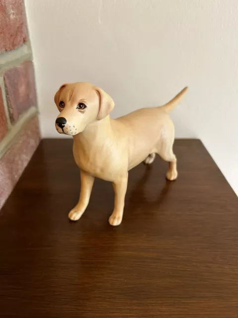 BESWICK Solomon of Wendover Golden Labrador Dog Figurine 1548 Matt Finish